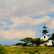 Point_pinos_lighthouse_card