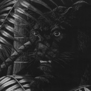 Nightstalker_card