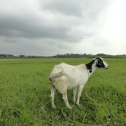 Dsc01160_card