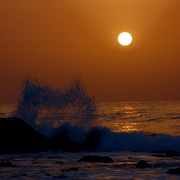 Img_94732_card