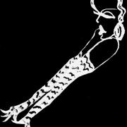 Inverted