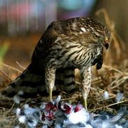 Img_0029_card