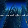 Agua_3_general_mostrar_thumb
