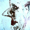 Die_nase_thumb