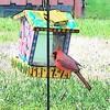 Cardinal_in_cartoon_thumb