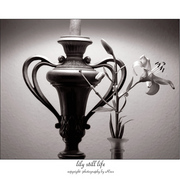 Potpourri3_card