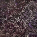 7-7_square