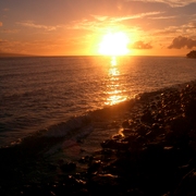 Nick_hawaii_2_065_card