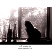 Earlymorningview_card