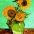 Van_gogh_tiny_square