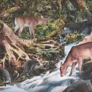 Image_card