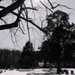Image_square
