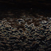 Water_on_rocks_black_thumb