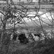 Dscn0962
