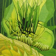 Inside_oxey_wood_card