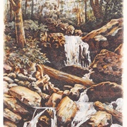 Image_card