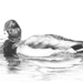 Duck_square