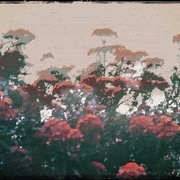 Image_card