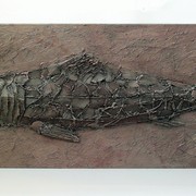 Asianshark_card