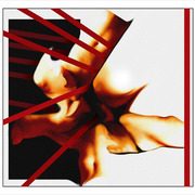 13_9b_net_card