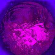 Easter_card
