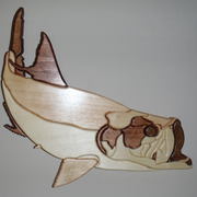 Tarpon_card