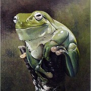 Green_frog_card