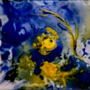 En-1_crab___fish-jpg_card
