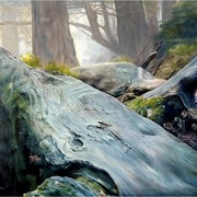 Rain_forest_2_card