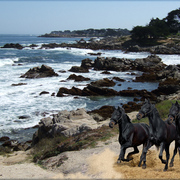 879-el_rancho_del_mar_card