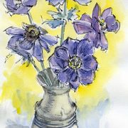 Anemone_w_card