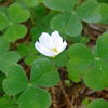 2711_thumb