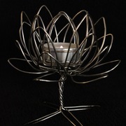 Lotus1_card
