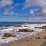 Pacific_grove_seascape_card