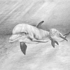Ocean_thumb