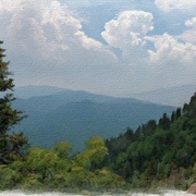 Image_card