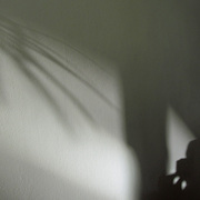 Img_1125__aaa_card