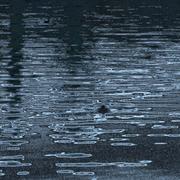 Img_9988_card