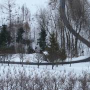 Dsc00277-001_card
