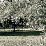Scan0001__2__card