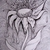 1_a_flower_design_happy_friday_final_thumb