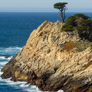 South_point_card