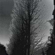 Dscn1208