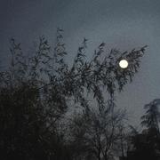 Dscn1202