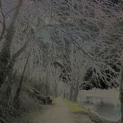 Dscn1147