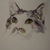 1_tiggy_drawing_thumb