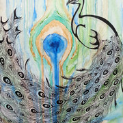 Peacock-beauty_card