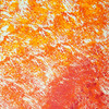 Citrustango_thumb