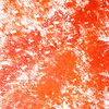 Tangerine_sed_new_thumb