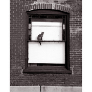 Lookingout_card